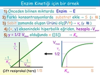 Enzim Kinetiği Özellikleri ve Faydaları Nelerdir?