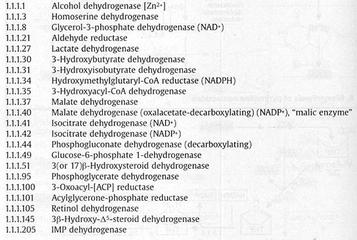Enzim İsimleri Nelerdir?